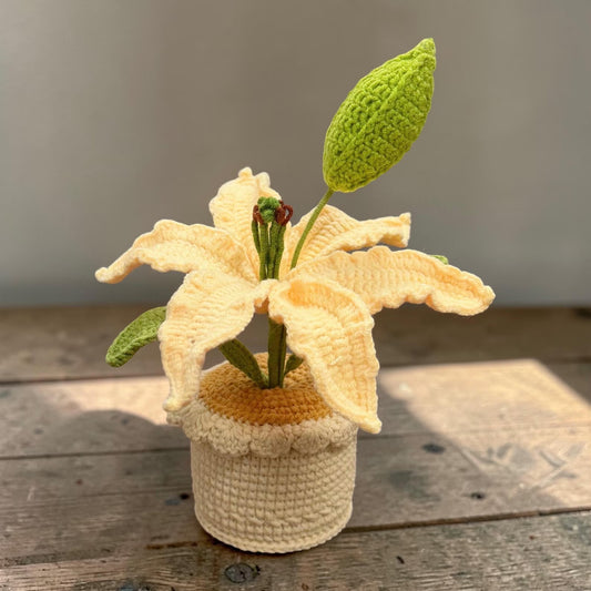 Crochet  Buttercream Lily in Pot – Handmade Gift Decor